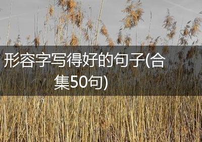 形容字写得好的句子(合集50句)