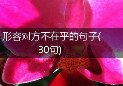 形容对方不在乎的句子(30句)