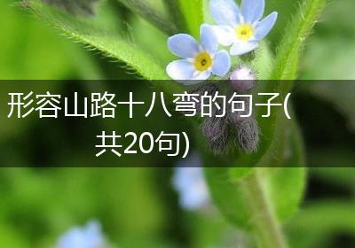 形容山路十八弯的句子(共20句)