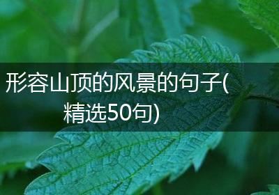 形容山顶的风景的句子(精选50句)