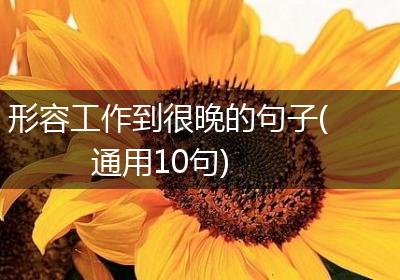 形容工作到很晚的句子(通用10句)
