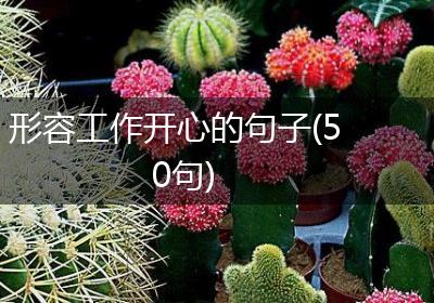 形容工作开心的句子(50句)