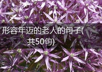 形容年迈的老人的句子(共50句)