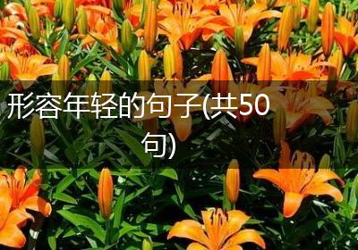 形容年轻的句子(共50句)