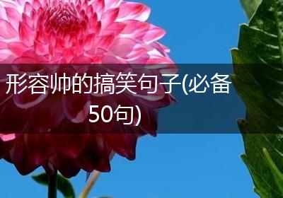 形容帅的搞笑句子(必备50句)