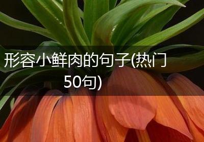形容小鲜肉的句子(热门50句)