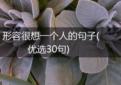 形容很想一个人的句子(优选30句)