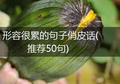 形容很累的句子俏皮话(推荐50句)