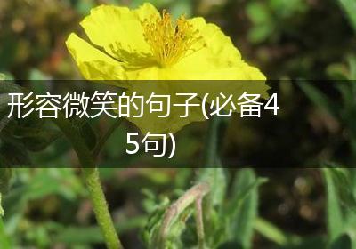 形容微笑的句子(必备45句)