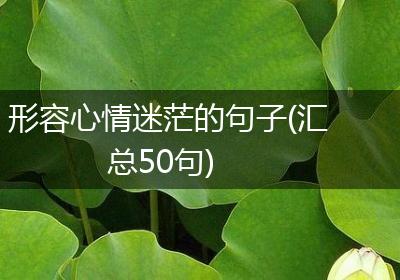 形容心情迷茫的句子(汇总50句)