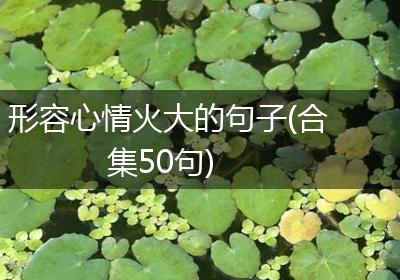 形容心情火大的句子(合集50句)