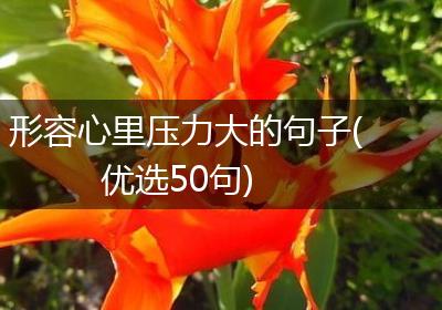 形容心里压力大的句子(优选50句)