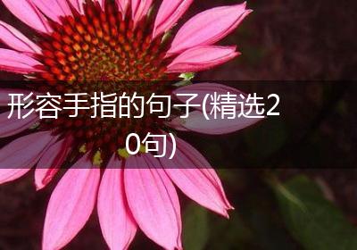 形容手指的句子(精选20句)