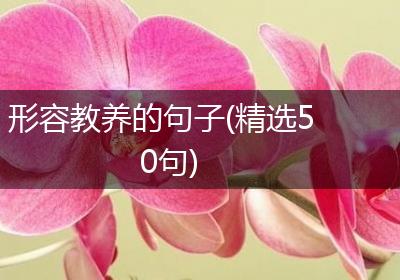 形容教养的句子(精选50句)