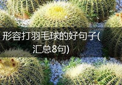 形容打羽毛球的好句子(汇总8句)
