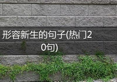 形容新生的句子(热门20句)