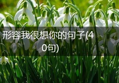 形容我很想你的句子(40句)