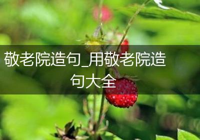 敬老院造句_用敬老院造句大全