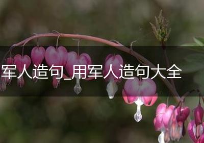 军人造句_用军人造句大全