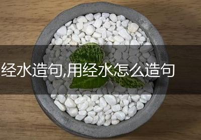 经水造句,用经水怎么造句