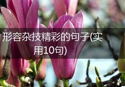 形容杂技精彩的句子(实用10句)