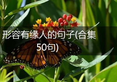 形容有缘人的句子(合集50句)