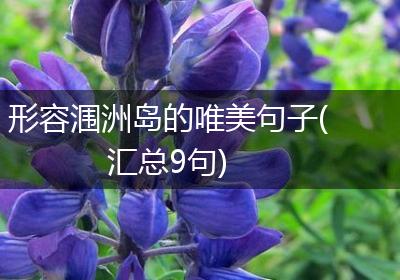 形容涠洲岛的唯美句子(汇总9句)