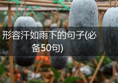形容汗如雨下的句子(必备50句)
