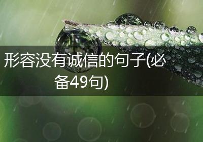形容没有诚信的句子(必备49句)