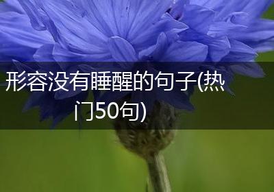 形容没有睡醒的句子(热门50句)