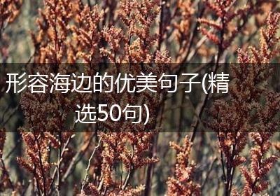 形容海边的优美句子(精选50句)