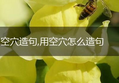 空穴造句,用空穴怎么造句