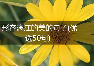 形容漓江的美的句子(优选50句)
