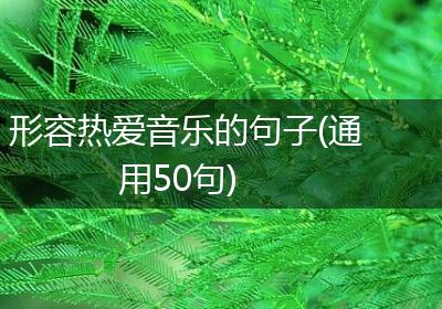 形容热爱音乐的句子(通用50句)