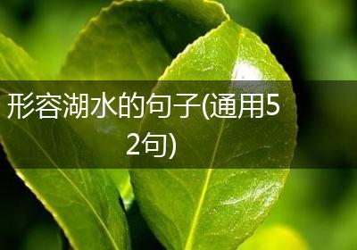 形容湖水的句子(通用52句)