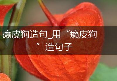 癞皮狗造句_用“癞皮狗”造句子