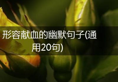 形容献血的幽默句子(通用20句)