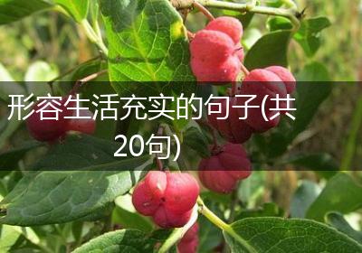 形容生活充实的句子(共20句)