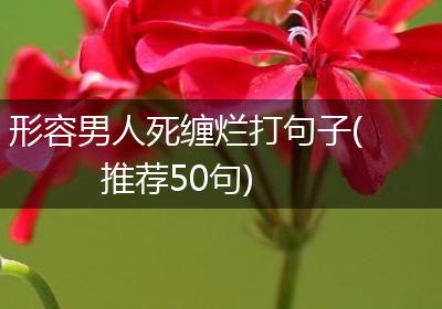 形容男人死缠烂打句子(推荐50句)