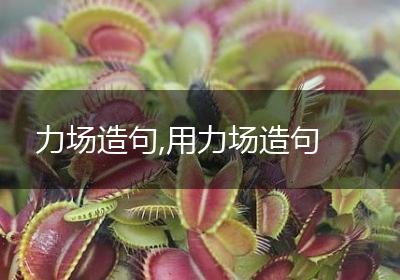 力场造句,用力场造句
