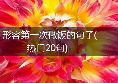 形容第一次做饭的句子(热门20句)