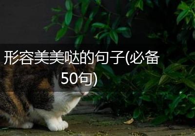 形容美美哒的句子(必备50句)