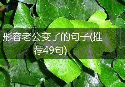 形容老公变了的句子(推荐49句)