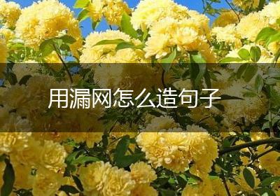 用漏网怎么造句子