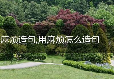 麻烦造句,用麻烦怎么造句