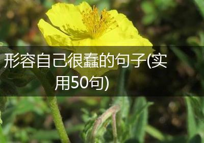 形容自己很蠢的句子(实用50句)