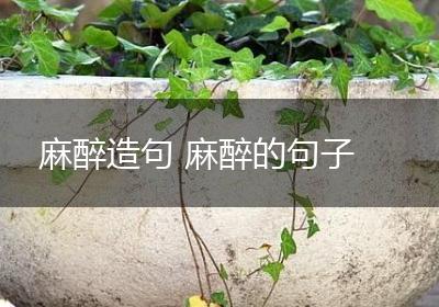 麻醉造句 麻醉的句子