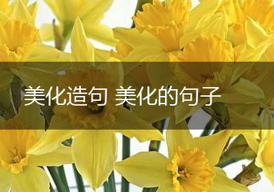 美化造句 美化的句子