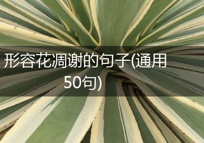 形容花凋谢的句子(通用50句)