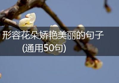 形容花朵娇艳美丽的句子(通用50句)